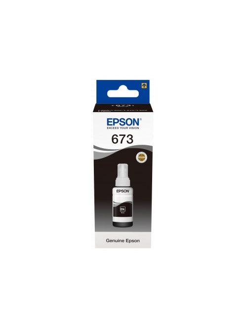 Epson L800 black orig tintapatron 70 ml'              'TET6731